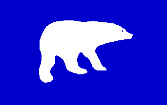NWT Polar Bear