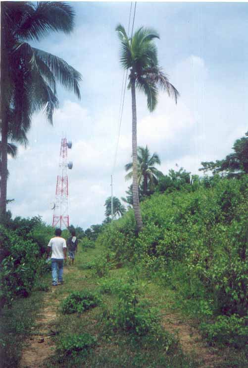 click here to see full size