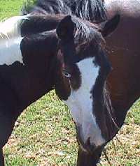 Tears At Hobson Brown: View The Latest Obituaries & See The Grief Stricken Tributes - jdns6vd