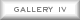  Gallery IV 