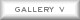  Gallery V 