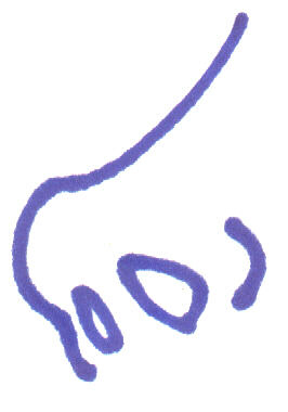 My nasal logo: (C) copyrighted 