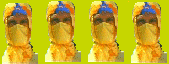 4 NINJAS