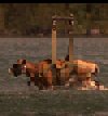 How to take a cow for a swim. How to take a cow for a swim.