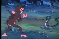 Science has proved that Monkey Vs Snakes on a Plane is the greatest idea ever Science has proved that Monkey Vs Snakes on a Plane is the greatest idea ever