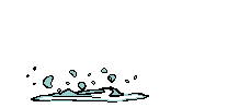 jumping fish