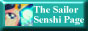 SS Page