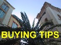Click Here for Buying Tips!