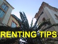 Click Here for Renting Tips!