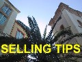 Click Here for Selling Tips!