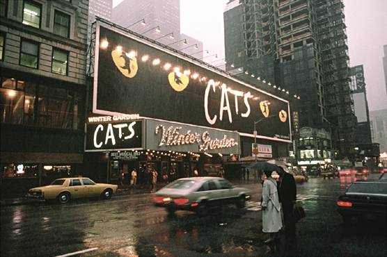 CATS!