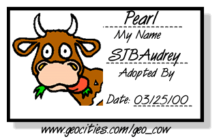 pearl the moomoo