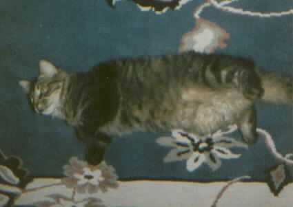 this is my Sammy Wammy