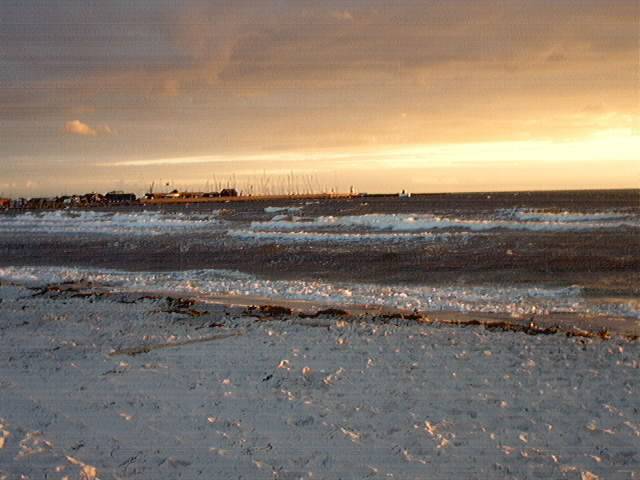Skanor Beach