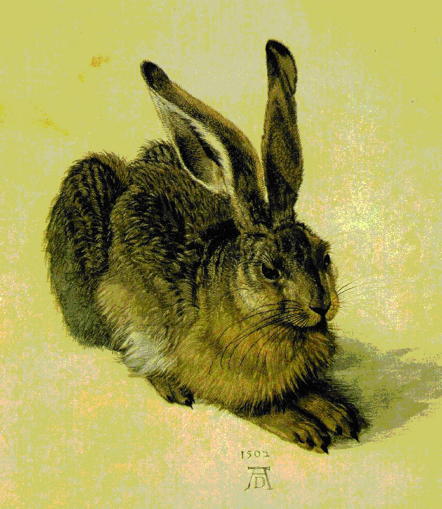 hare