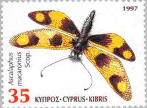 ascalaphus