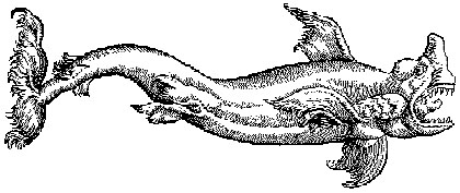 sj&ouml;odjur