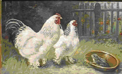 h&ouml;ns