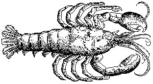 kr&auml;fta