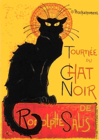 chat noir
