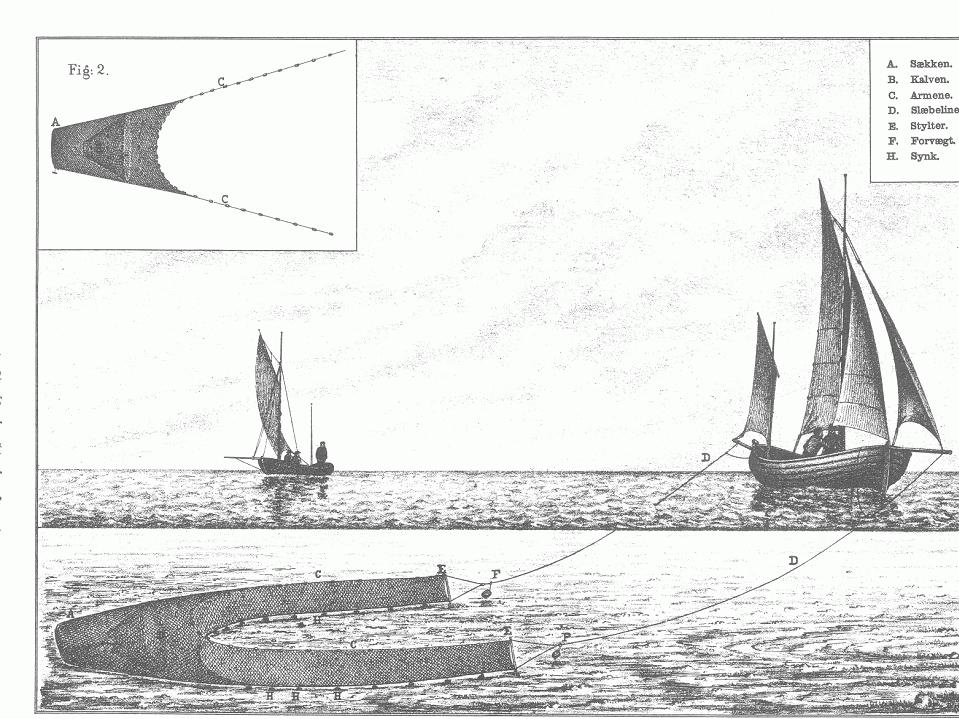 tr&aring;lfiske