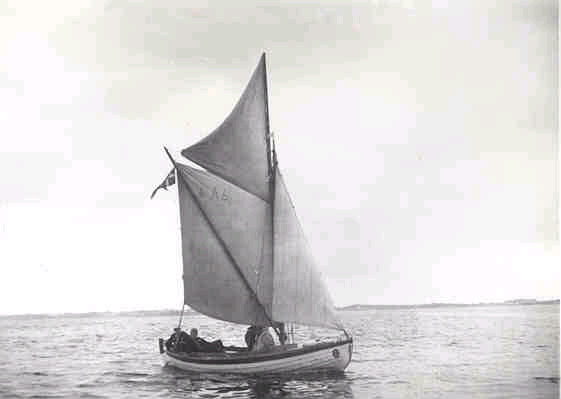 segelsnipa