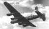 BH_D_flying.jpg (27981 bytes)