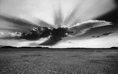 Mojave
