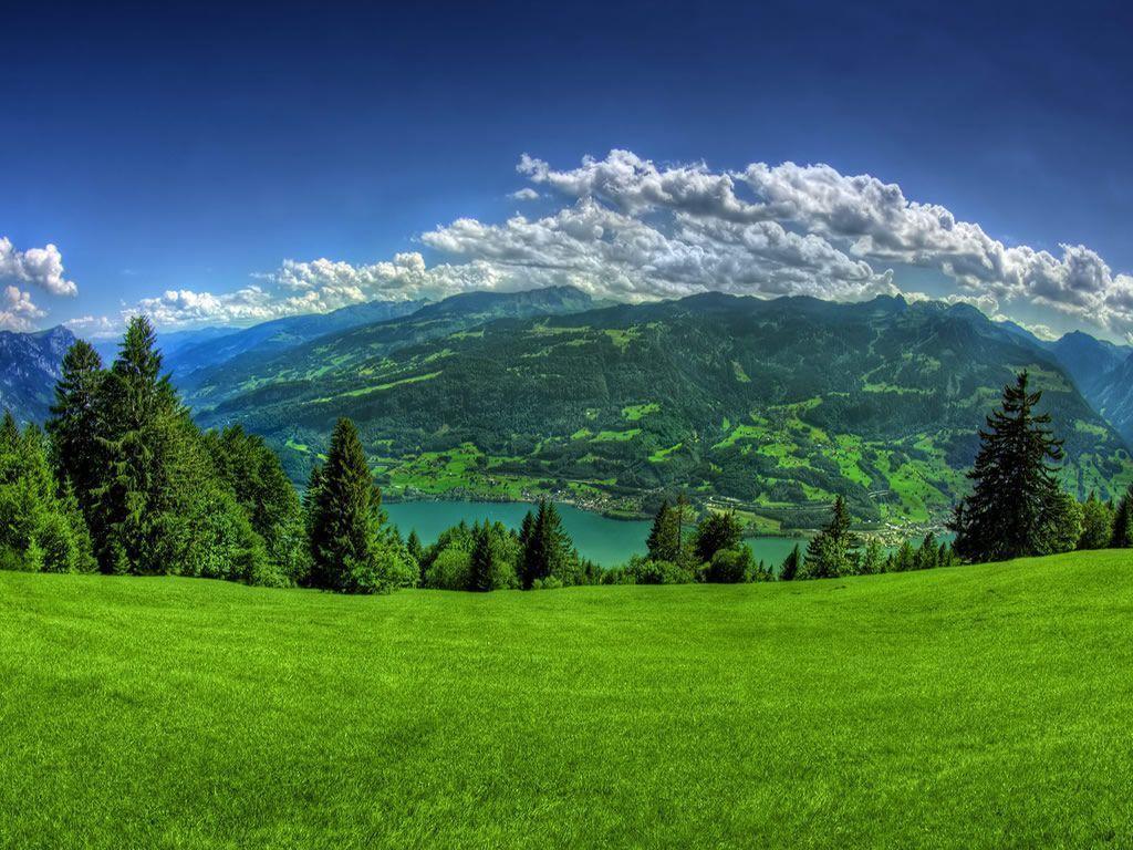 green mountain.jpg