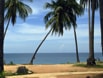 Beach on Ko Samui.jpg