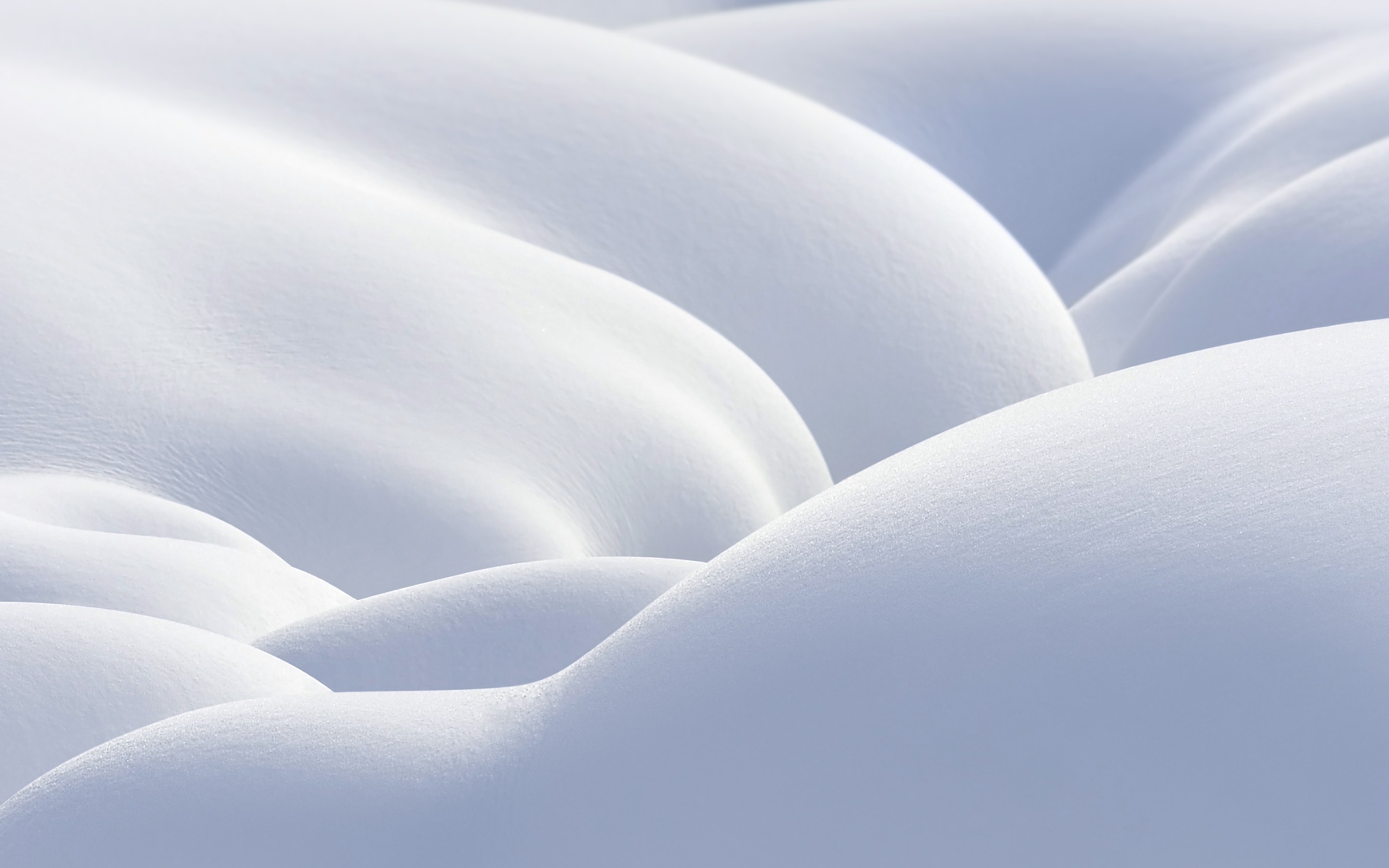 Snow (10.8).jpg