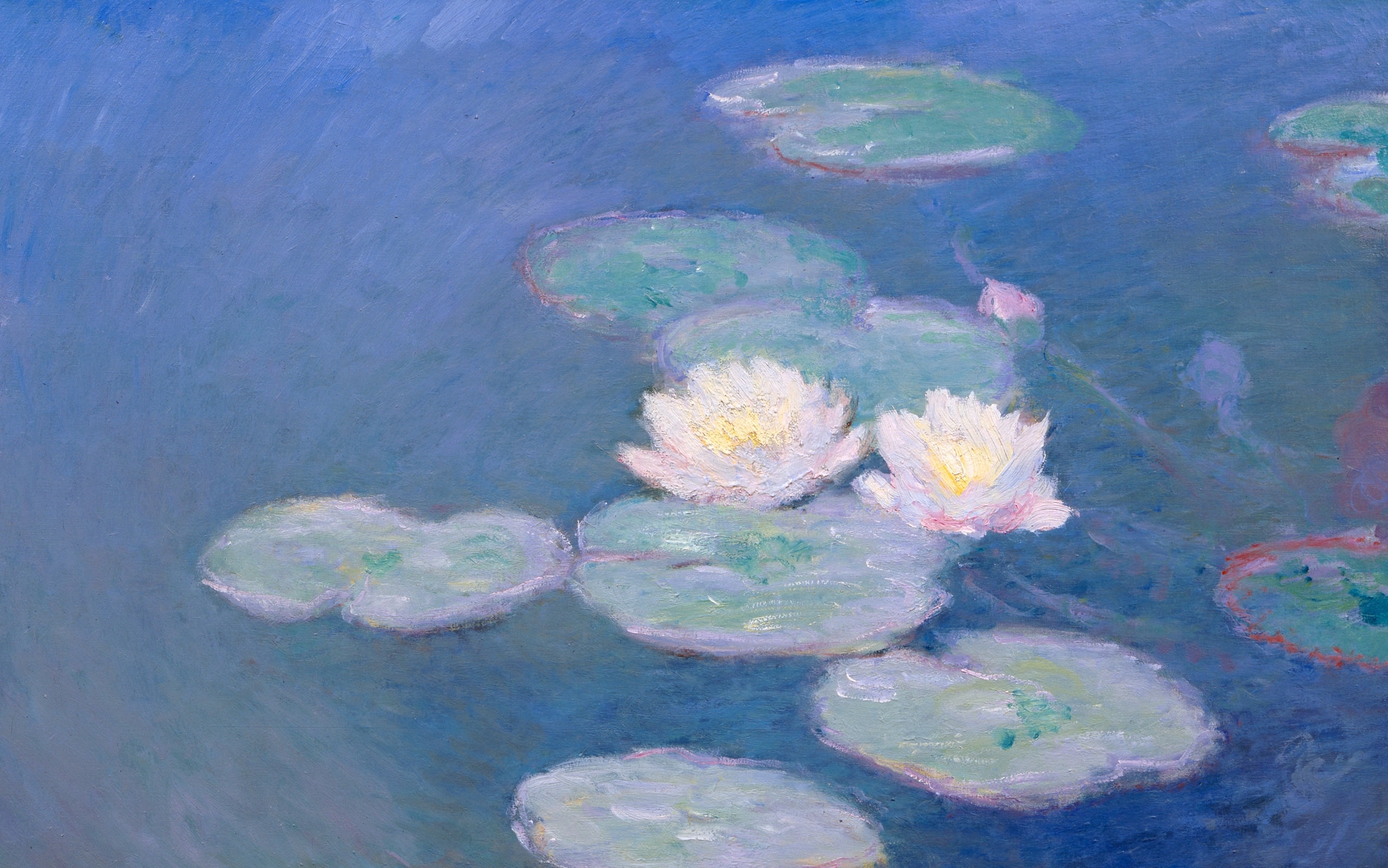 Water Lilies.jpg