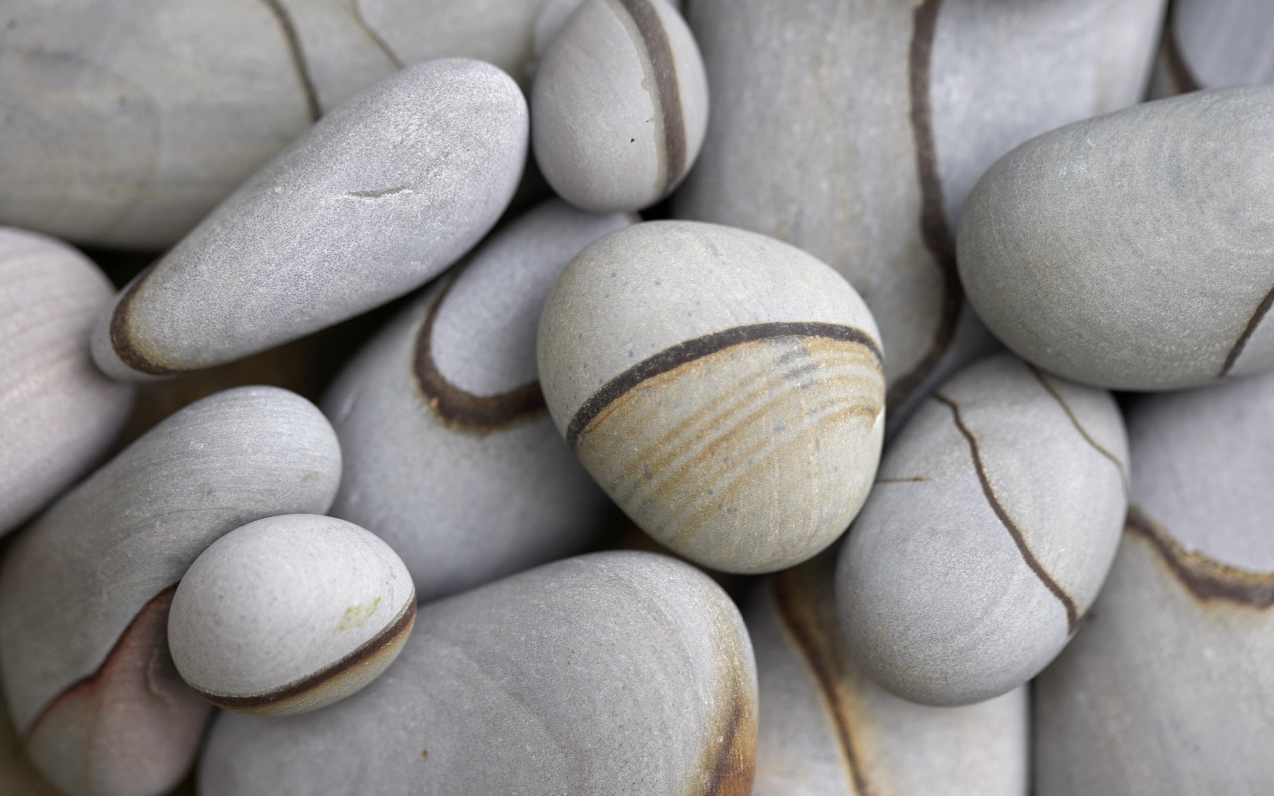 Rocks.jpg