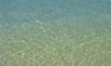 Water.jpg