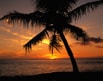 iPhoto.jpeg