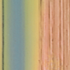 Convergence 4.png