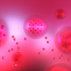 Strawberry Parabola-(10x7).png