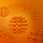 Tangerine Fusion-(10x7).png