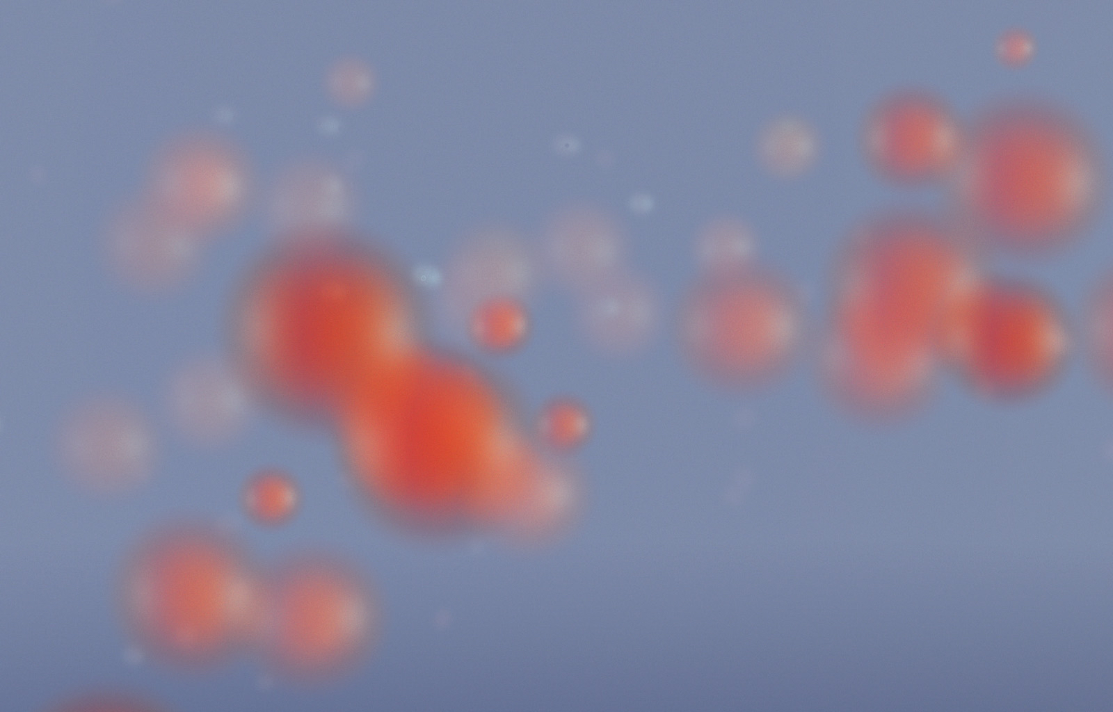 Loading Image