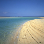 Beach.png