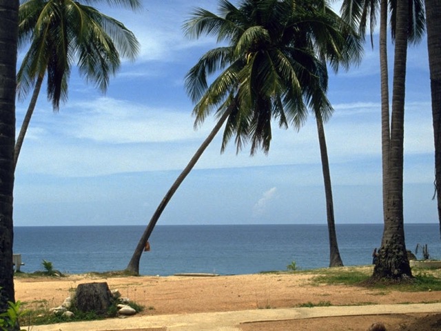 Loading Image