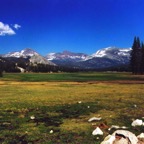 Tuolumne Meadows.png