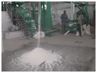 usine de riz
