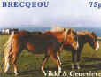 their local horses 'Vikki & Genevieve'