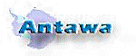 Bolet�n Antawa - Informaci�n filtat�lica