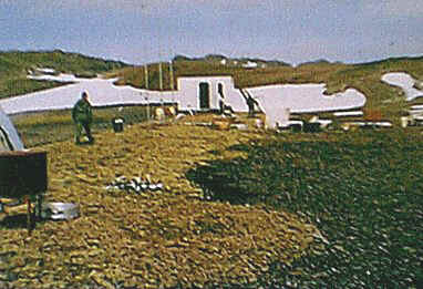 Vista del primer m�dulo BCAA dic84