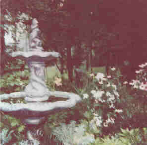 garden with water fountain