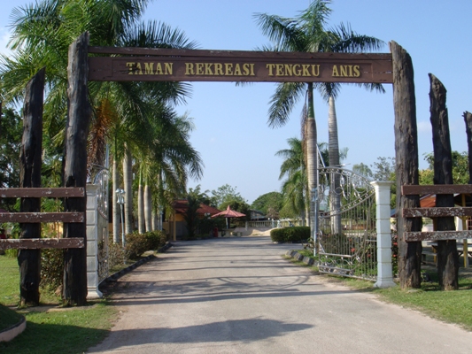 homepage banner
