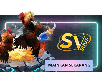 sabung ayam
