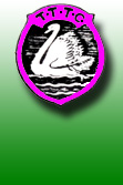 Teddington Table Tennis Club Badge Teddington Table Tennis Club Badge